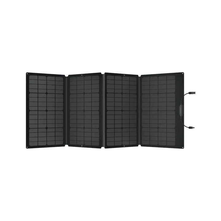 EcoFlow DELTA 2 Max + 160W Portable Solar Panel