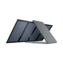EcoFlow DELTA 2 Max + 220W Portable Solar Panel