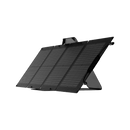 EcoFlow RIVER 2 Pro Solar Generator + 110W Portable Solar Panel