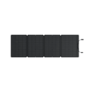 EcoFlow RIVER 2 Pro Solar Generator + 110W Portable Solar Panel