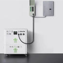 Natures Generator Powerhouse Platinum PE System